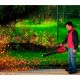 Soplador de hojas inalámbrico GE-LB 36 Li Einhell